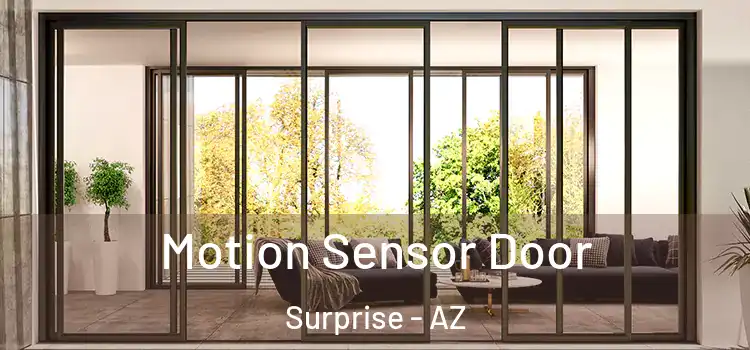Motion Sensor Door Surprise - AZ